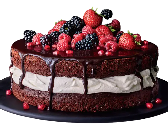 تغذیه