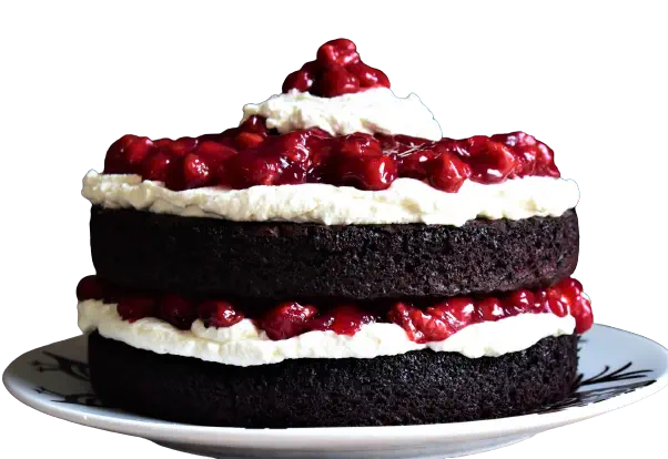 تغذیه